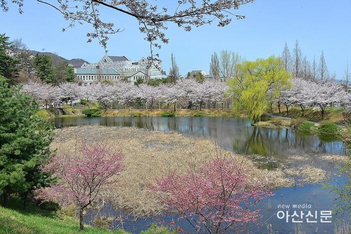 호서대 소류지 전경.jpg