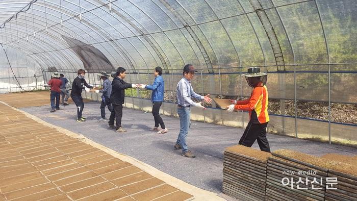 3. 대중교통과, 일손돕기.jpg