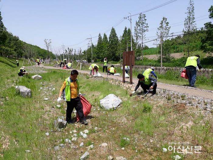 크기변환_환경보전과, 생태교란식물제거활동 - 1번 사진.jpg