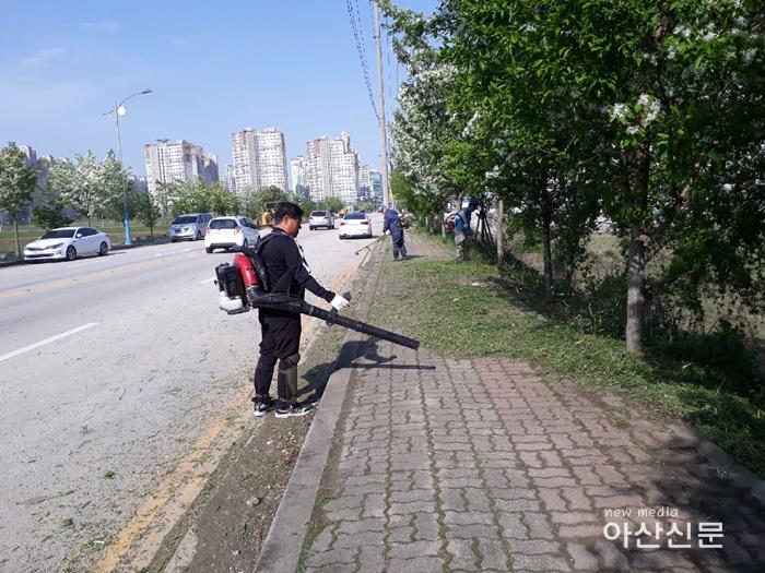 1. 온양3동, 체전대비 제초.jpg