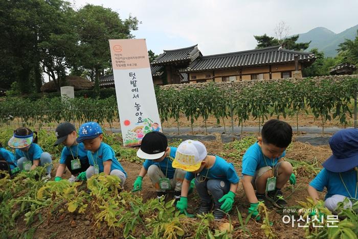 3. 위생과, 어린이 감자텃밭 체험프로그램 - 1번 사진.jpg