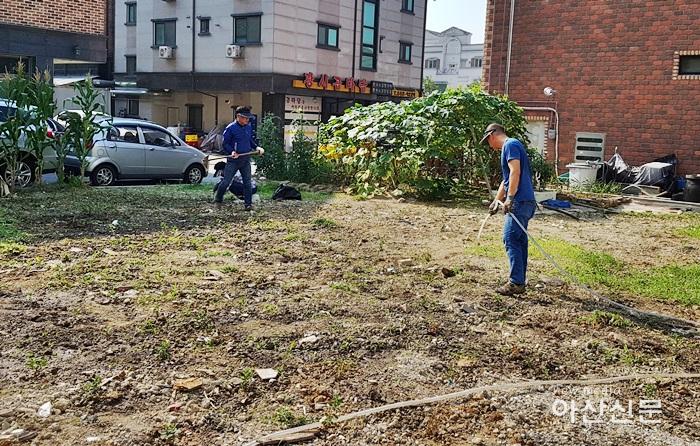 1. 탕정면, 쓰레기 수거후 꽃밭조성.jpg