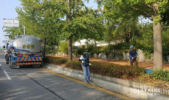 3. 공원녹지과, 조경수 물주기 총력 (가로수).jpg