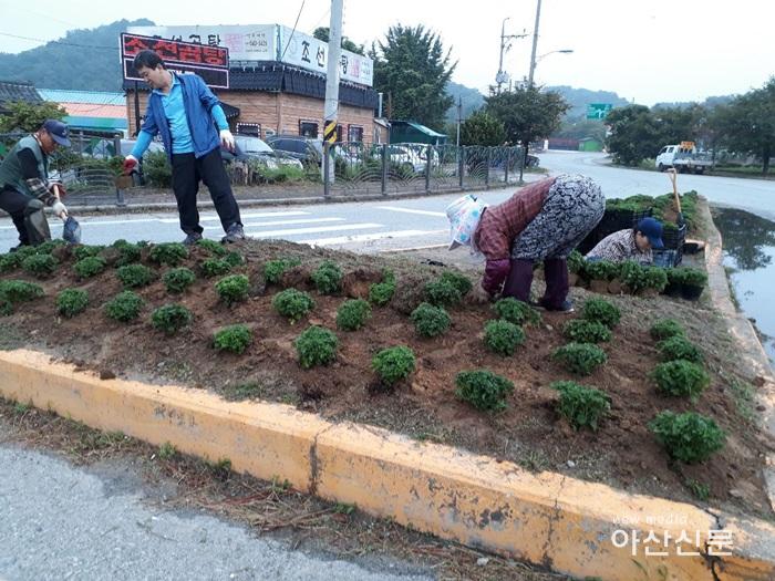 3. 영인면, 18년 가을철 영인면 국토공원화.jpg