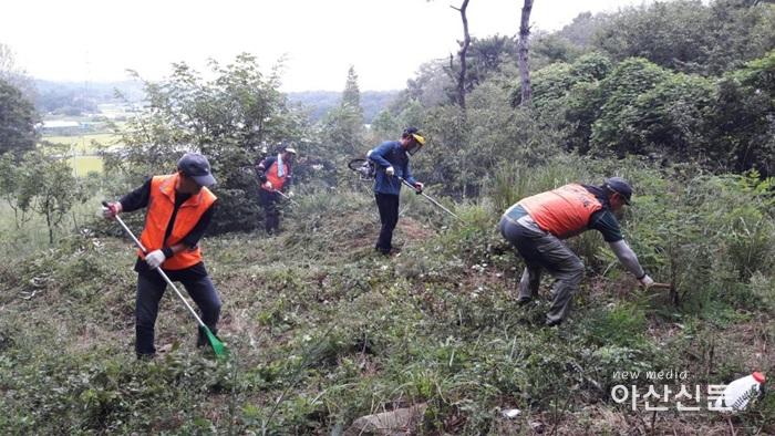 2. 온양5동 청년회, 벌초 자원봉사 - 1번 사진.jpg
