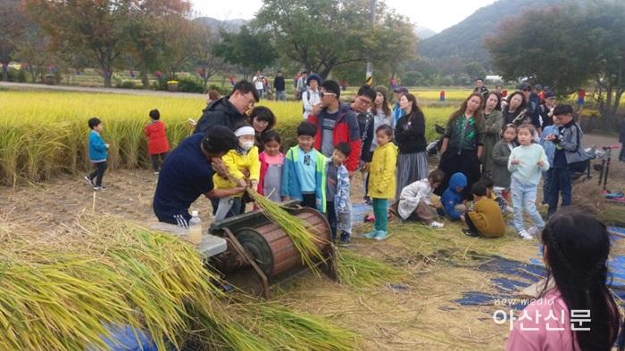 2. 외암민속마을관리소, 2018년 제19회 짚풀문화제 - 4번 사진 (추수체험).jpg