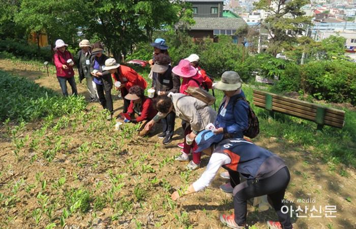 3. 산림과, 가족 만남의 숲.jpg