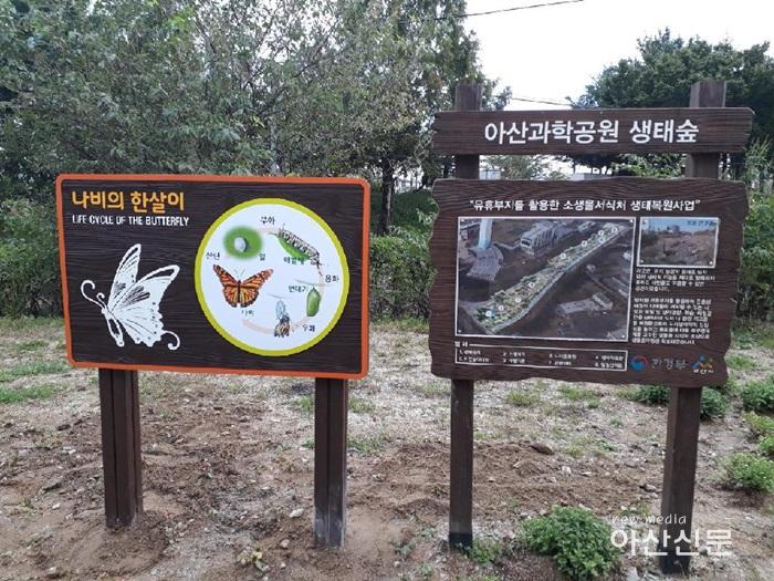 4. 환경보전과, 나비서식처 체험활동 - 3번 사진.jpg