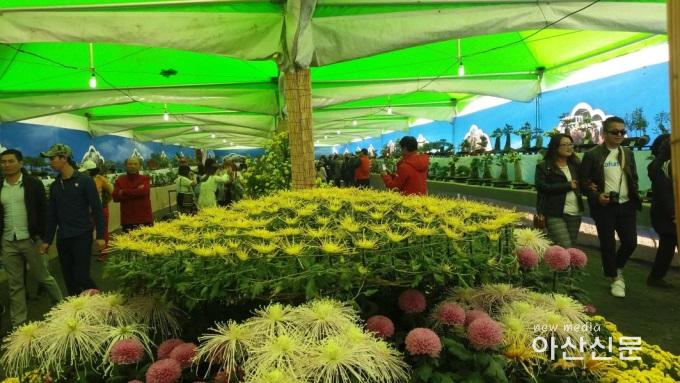 3. 기술보급과, 국화전시회 1.jpg