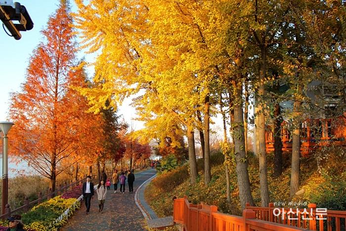 2. 신정호수공원사업소, 가을단풍나들이 홍보.jpg