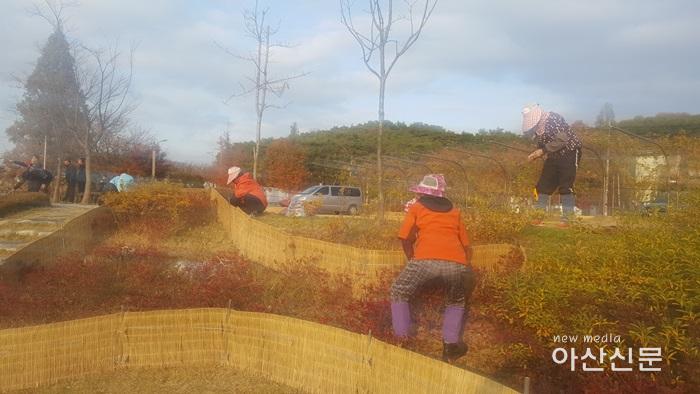 7. 신정호수공원사업소, 월동준비.jpg