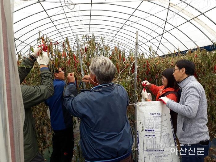 의회사무국 농촌일손돕기.jpg