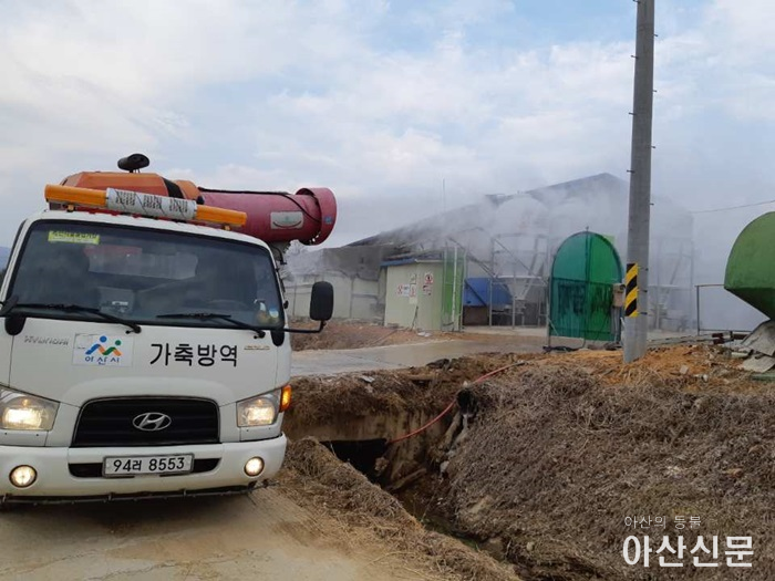 3. 아프리카돼지열병.png