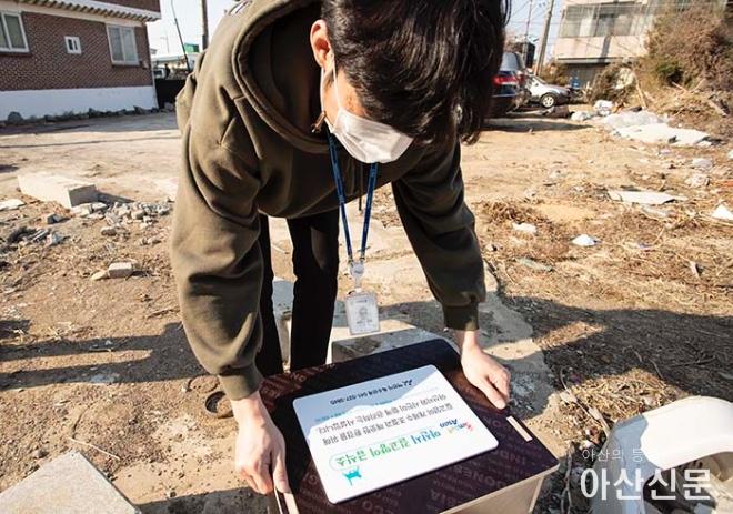 0210_철거촌 고양이_03.JPG