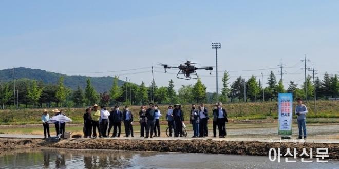 0524_벼 직파.jpg