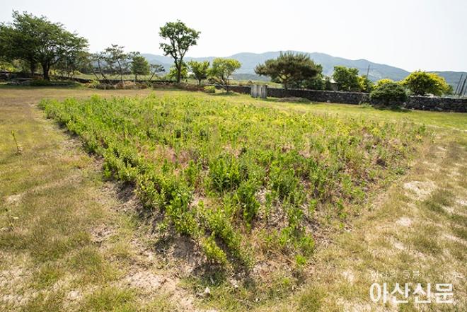 0525_김태흠 사택_01.JPG