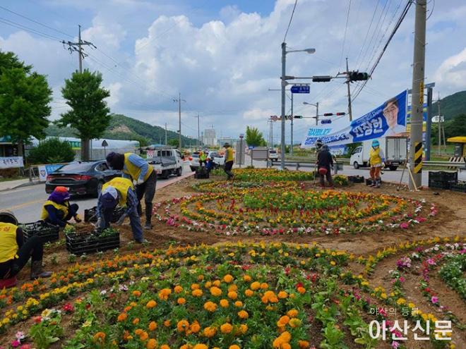 0621_송악 식재.jpg