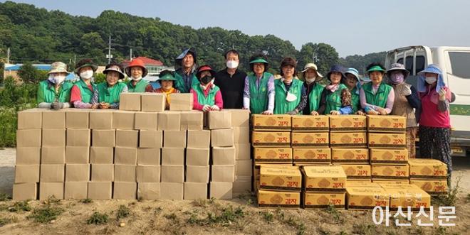 0623_배방 햇감자.jpg