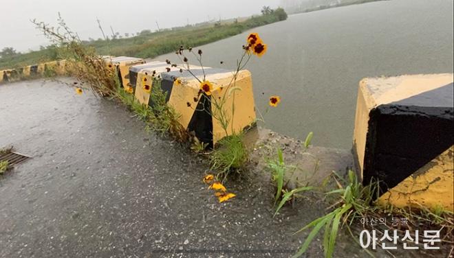 0701_아산 집중호우.jpg