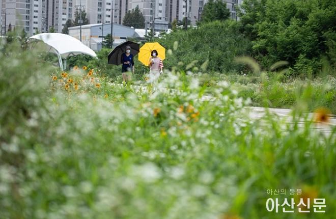 0709_천안시장기 검도_37.JPG