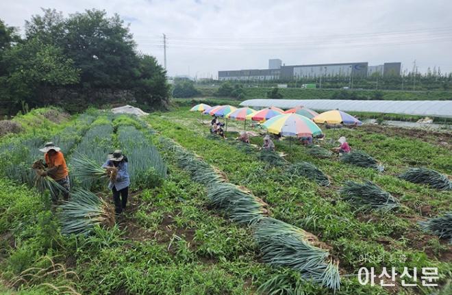 0719_외국인 계절노동자.jpg