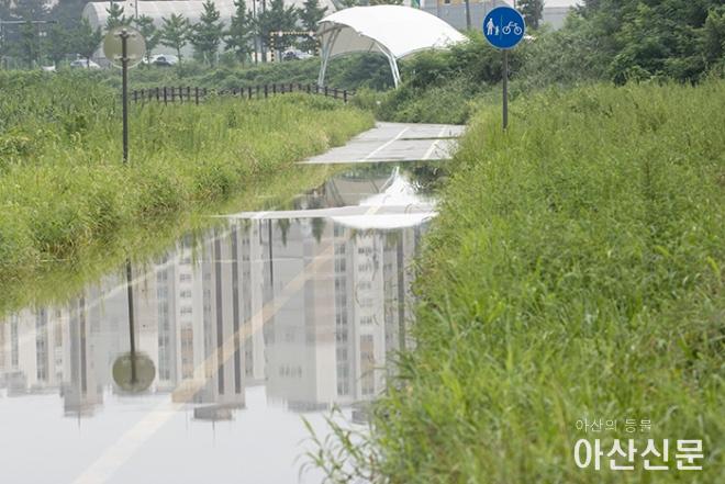 0817_곡교천 갈매공원_01.JPG