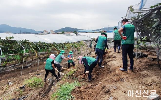 0822_은산면 수해복구.jpg