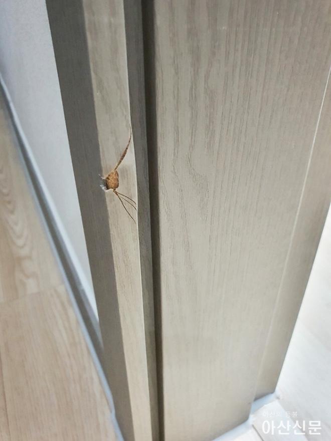 0831_꿈비채 하자.jpg