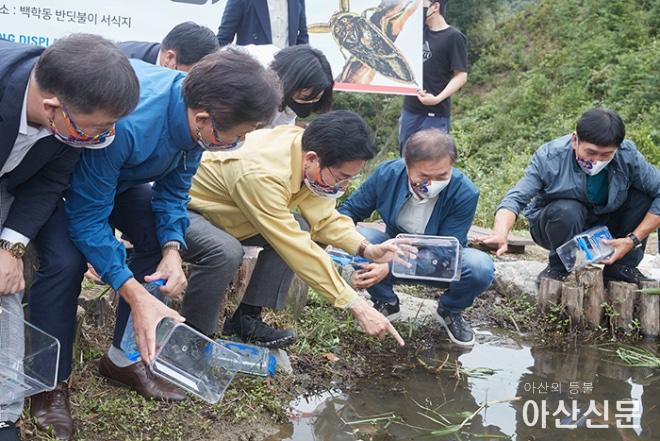 0914_물장군 방사.jpg