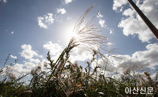 0920_가을 정취_04.JPG