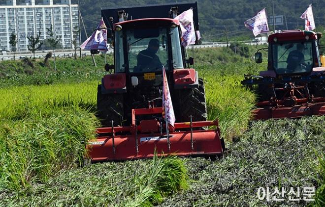 0928_아산 논 갈아엎기.jpg