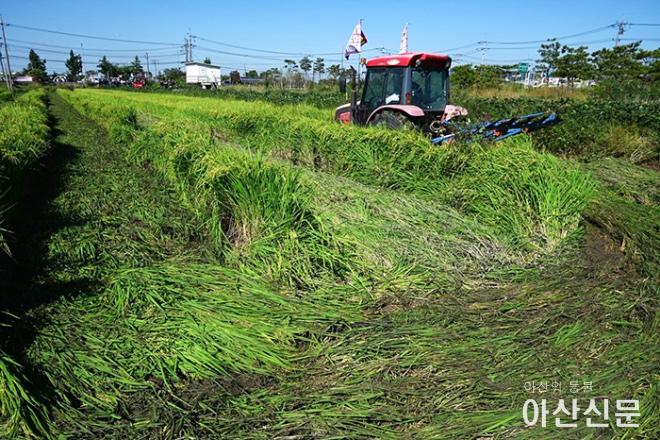 1003_트랙터 갈아엎기.jpg