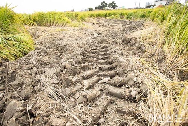 1006_트랙터 흔적_01.JPG