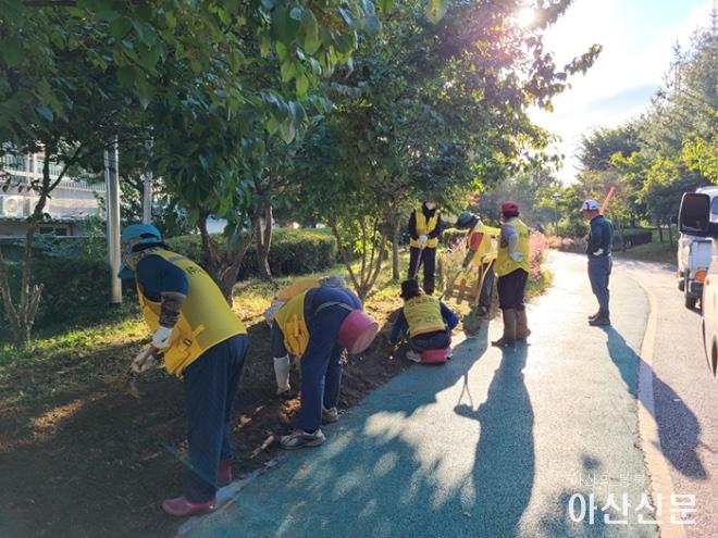 1019_가을꽃 식재.jpg