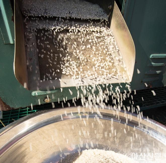 1020_벼베기 체험_08.JPG