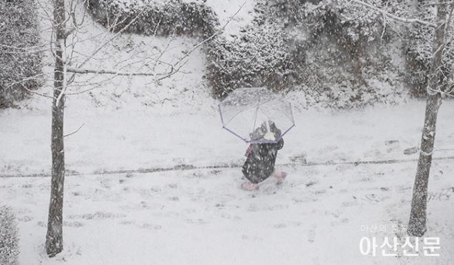 1215_아산 눈_04.jpg