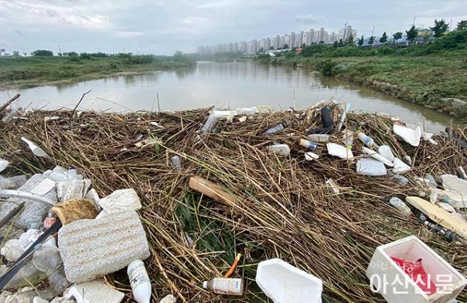 0716_아산 곡교천.jpg