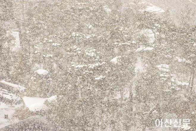 1220_아산 폭설_03.jpg