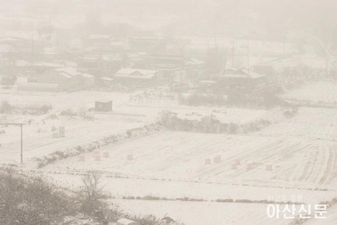 1220_아산 폭설_04.jpg