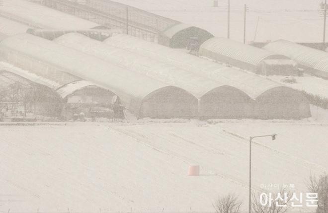 1220_아산 폭설_02.jpg