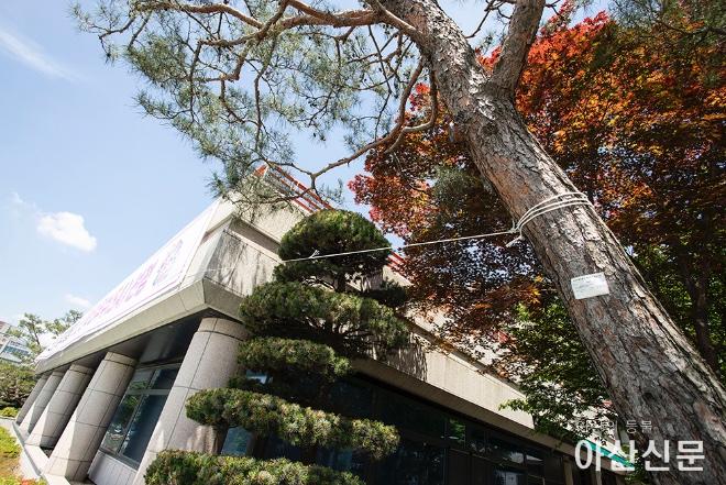 0528_소나무 현수막_03.jpg