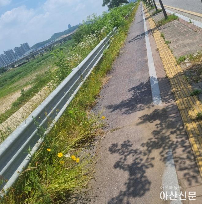 자전거도로.jpg