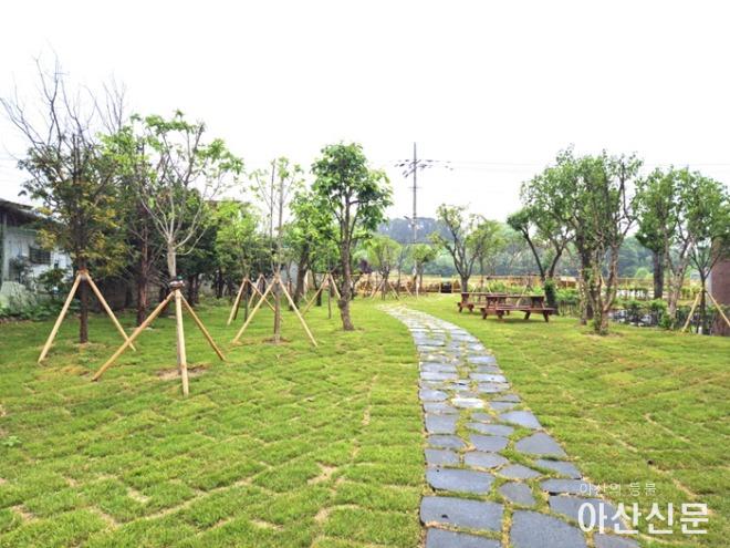 1. 아산시, 도고초등학교에 ‘학교숲’ 조성완료.jpg